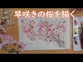 【透明水彩画】早咲きの桜を描く