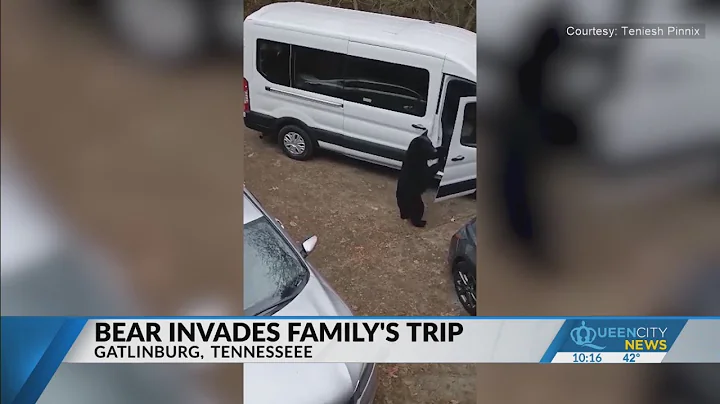 'Insane!' North Carolina family captures bear enco...
