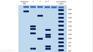 Biotechnology HW and Test Review