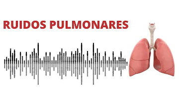 Como identificar sons pulmonares?