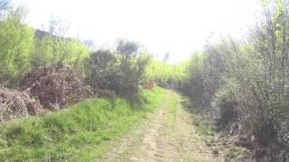 quad morvan 21 (70)