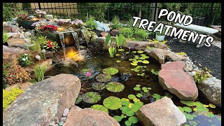 Treating Your Pond | WATER GARDEN TREATMENTS