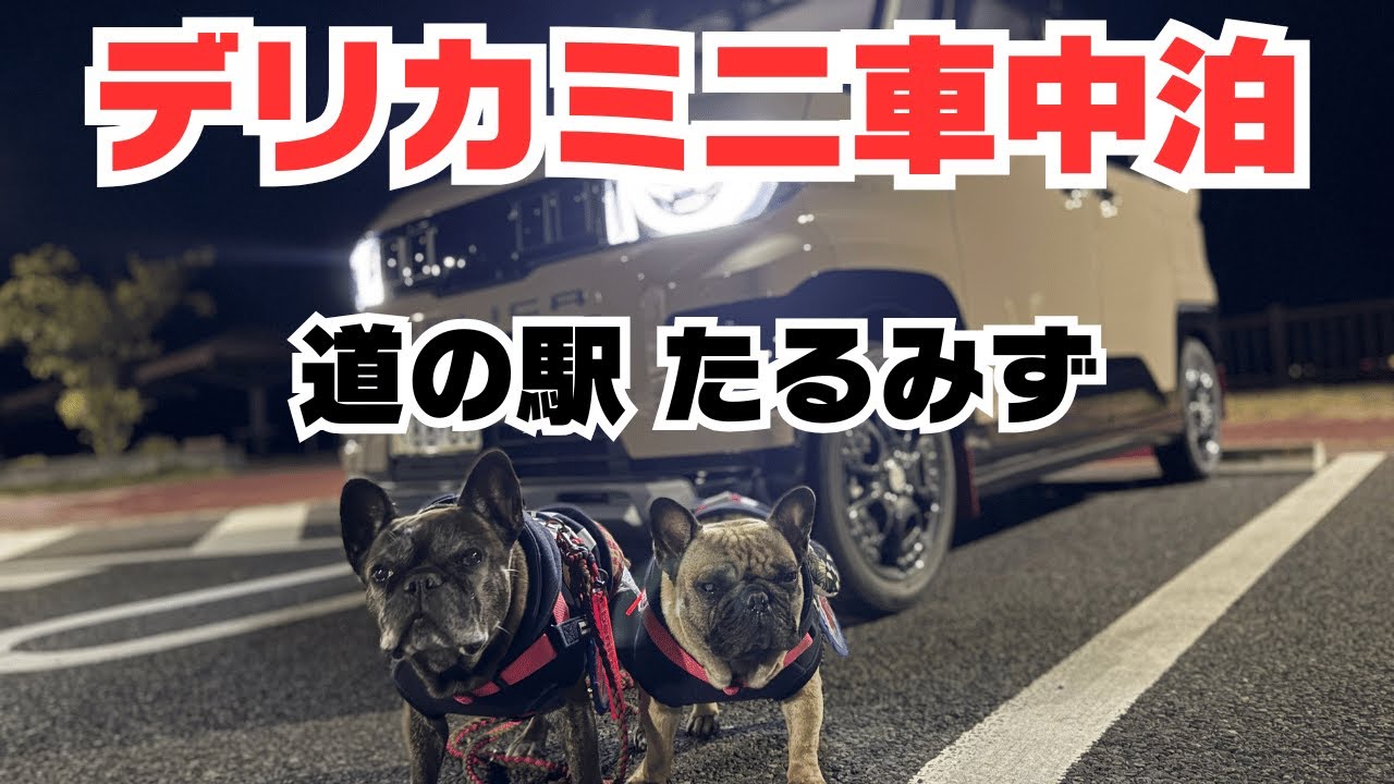 【デリカミニ車中泊】夫婦とフレブル２BUHIで車中泊（道の駅たるみず）