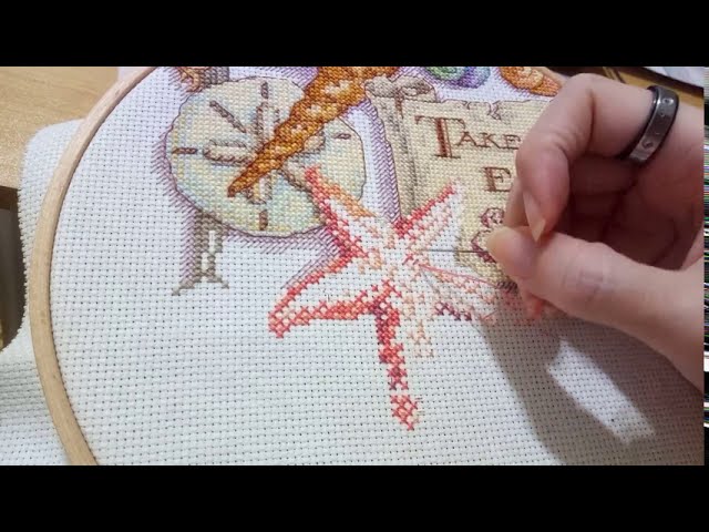 Hermione Cross Stitch + Waste Canvas How-To