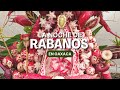 ¿Cuándo es y de qué trata la Noche de Rábanos? 😳 | La fiesta efímera de Oaxaca 4K | Frank Coronado