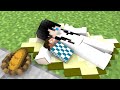 Monster School : Iron Golem War Ravager To Protects Baby Herobrine - Minecraft Animation