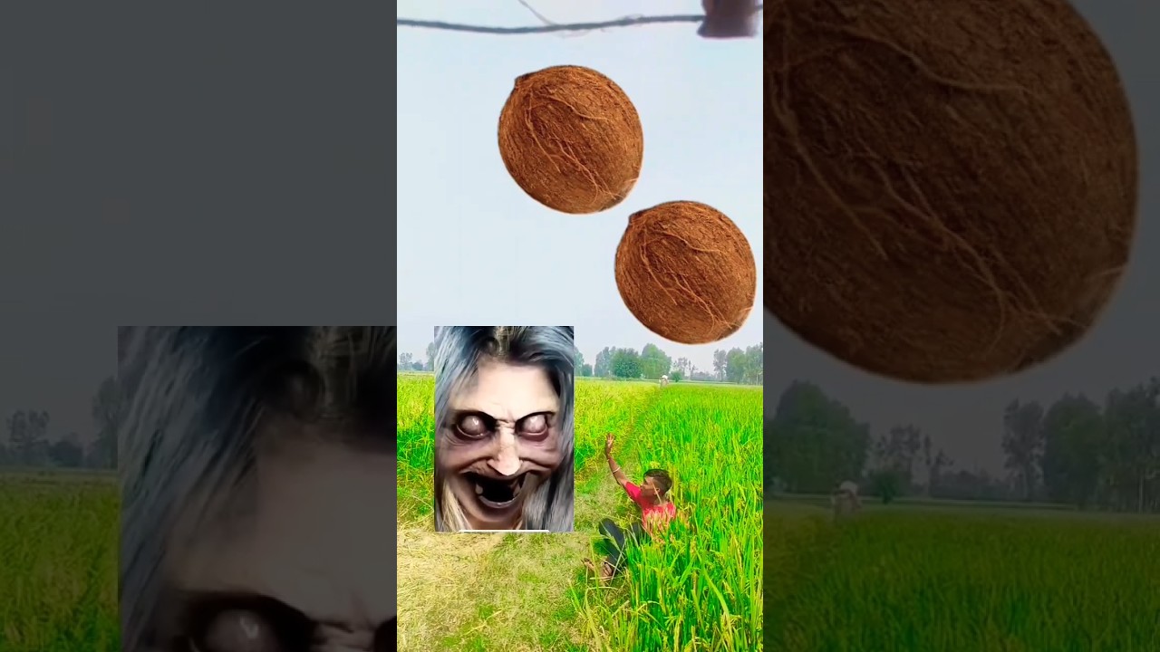 Deewani Mastanideepikaindian Tuffatutox - YouTube Auto PHP Script