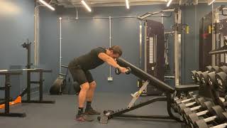 Bent over supported y raises