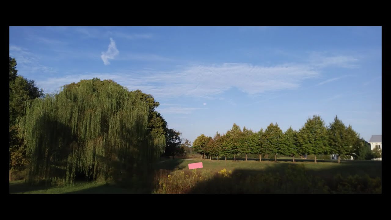 Clouds on a Dog Walk YouTube