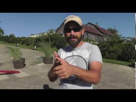 Malinois Training - Lesson Eighteen
