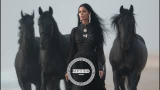 ZERRID - Miracle