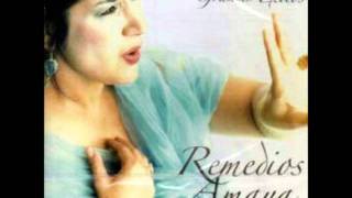 Video thumbnail of "Remedios amaya - me voy contigo (rumba)"