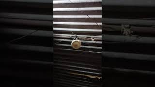 Swapnakrishna Youtube Chenal