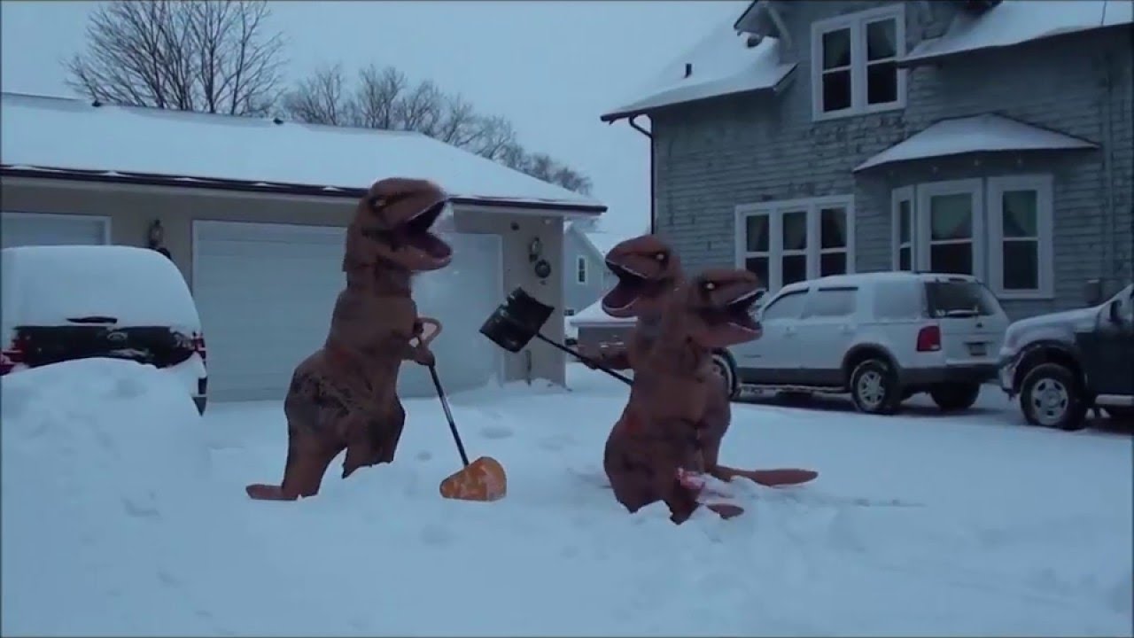 T-Rex Snow Removal Service || ViralHog