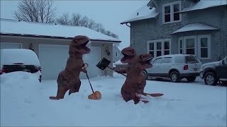 T-Rex Snow Removal Service || ViralHog T-Rex Snow Removal Service || ViralHog
