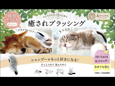 犬 ネコ 抜け毛対策に便利 さっとつけて 包んで簡単ぽい ブラシにつけるシャンプーシート 森のトンネル ペットグッズ Youtube 犬 ネコ 抜け毛対策に便利 さっとつけて 包んで簡単ぽい ブラシにつけるシャンプーシート 森のトンネル ペットグッズ Youtube