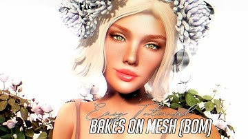 BOM (BAKES ON MESH) FOR DUMMIES