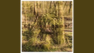 Video Whirlpool (author: Various Artists - Topic)