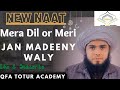 Saifi naat  mera dil or meri jan madeny waly  voice  tanveer saifi