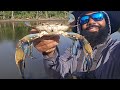 Yes catching big blue crabs flying my new drone florida crabbing season lets  go