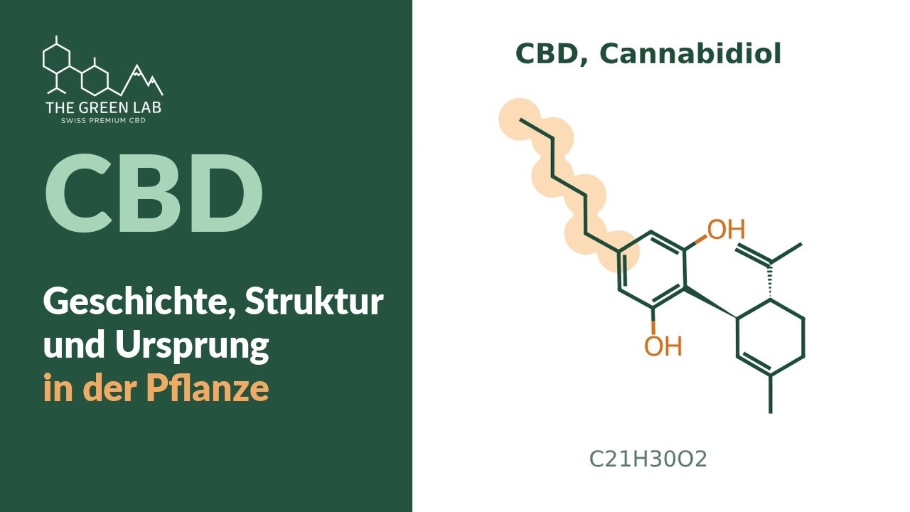 Video: CBD (Cannabidiol): Geschichte, Formel und Herkunft in der Pflanze