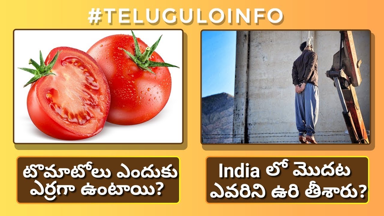 #TeluguloINFO