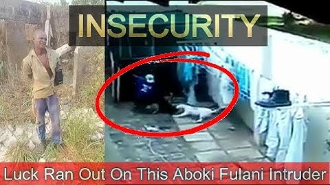 See What These Security Dogs Did To Fulani Aboki Intruders
