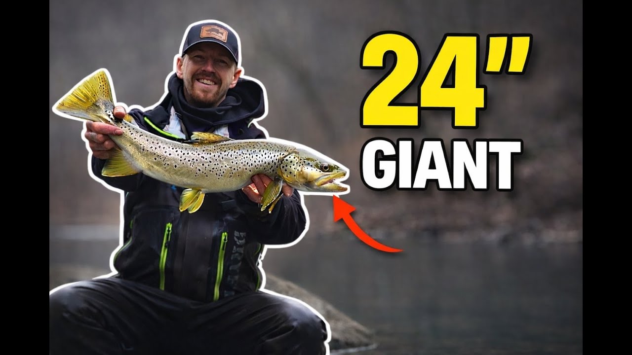 River Jerkbait Fishing for TROPHY Brown Trout!