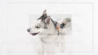 J Melin - You do not really exist featuring Alan Watts