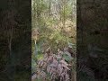 Cathedral Range #Victoria #Australia #rockycliff #mountain #travel #hike #rocks #rivers #ASMR #relax