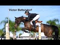 Victor bettendorf  mr tac 19032023 equestrian showjumping hipismo horses