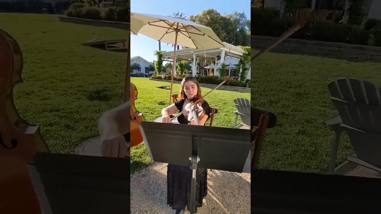 Elite String Trio - Cocktail Hour 