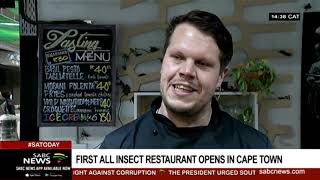 South Africa's first all-insect restaurant opens in Cape Town