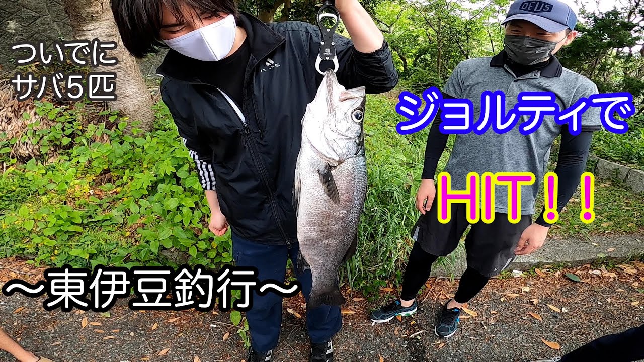 東伊豆釣行 強風での釣行 ヒラスズキとサバきたれり 5月21 Youtube