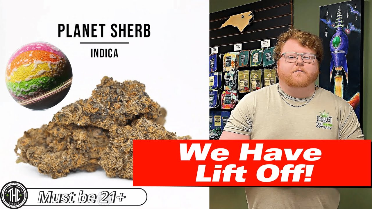 Planet Sherb Strain Review: Out of this World or Overhyped?