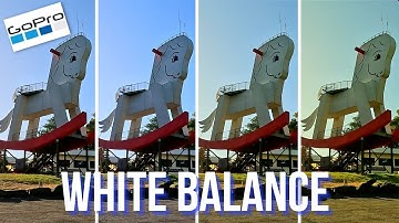 GOPRO HERO 11 Black:  How to accurately capture colour using White Balance