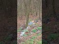 Urmașii Poporului Ales Al Lui Zamolxe Despre Viața în România 