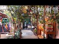 오사카 교토 여행 - 오사카 명물 쿠시카츠 먹기, 청수사 구경하고 교토 카페, 먹방 여행