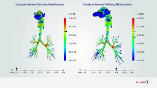 continuous vs pulsed nebulization