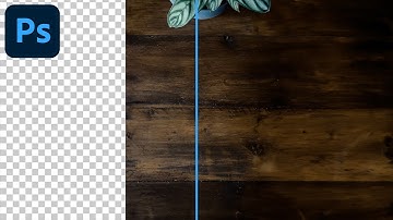 Turn Vertical Into Horizontal Videos with Photoshop Generative Fill