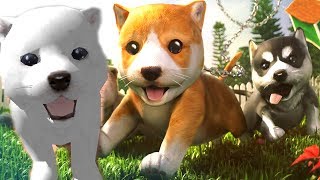 СИМУЛЯТОР Маленькой собаки #1 виртуальный питомец мультяшная игра видео для детей мультик про щенка СИМУЛЯТОР Маленькой собаки #1 виртуальный питомец мультяшная игра видео для детей мультик про щенка