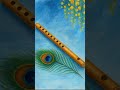Jai Shree Radhakrishna #radheradhe #love#kirshanabhajan #kirshna#shyam#music