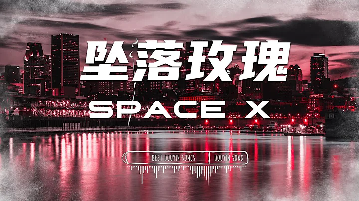 space x - 墜落玫瑰 [擦乾嘴角留下的餘味]【動態歌詞Lyrics】 - 天天要聞
