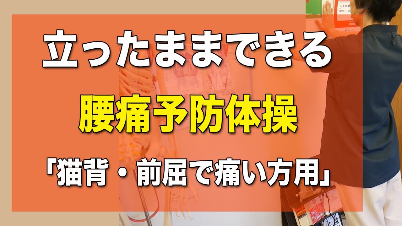腰痛改善 寝たままできる仙腸関節のロック解除 腰椎の可動向上 松山市腰痛専門整体の施術超楽 Youtube 腰痛改善 寝たままできる仙腸関節のロック解除 腰椎の可動向上 松山市腰痛専門整体の施術超楽 Youtube