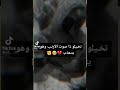 تخيلو ذا صوت الارنب وهو يتعذب 
