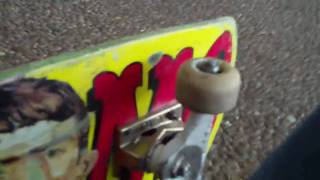 skateboard SNAPS