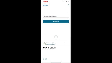 Utilizando SAP Mobile Services (V)
