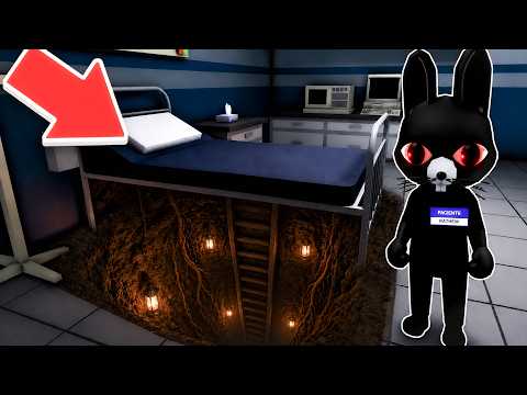 EXPOSING SECRETS in Animal Hospital anomaly