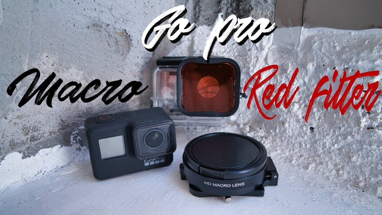 ゴープロ7 Gopro7でマクロ撮影 ハウジング レッドフィルター マクロレンズ ゴープロ7 ダイビング Youtube ゴープロ7 Gopro7でマクロ撮影 ハウジング レッドフィルター マクロレンズ ゴープロ7 ダイビング Youtube