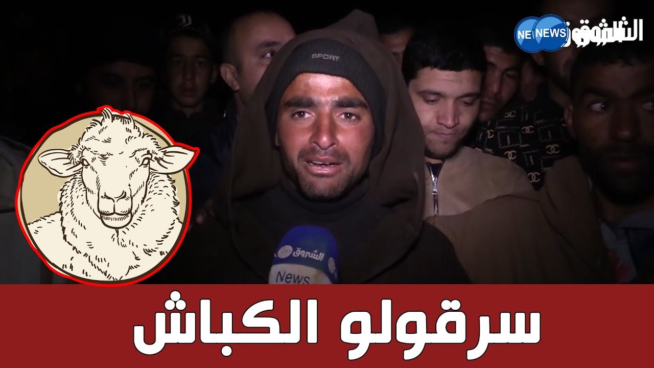 عصابة تسرق مواشي فلاح بعين الدفلى